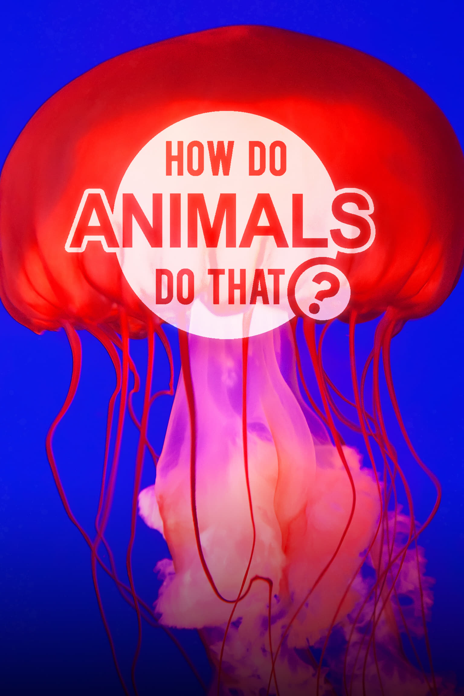 How Do Animals Do That? | How Do Animals Do That?