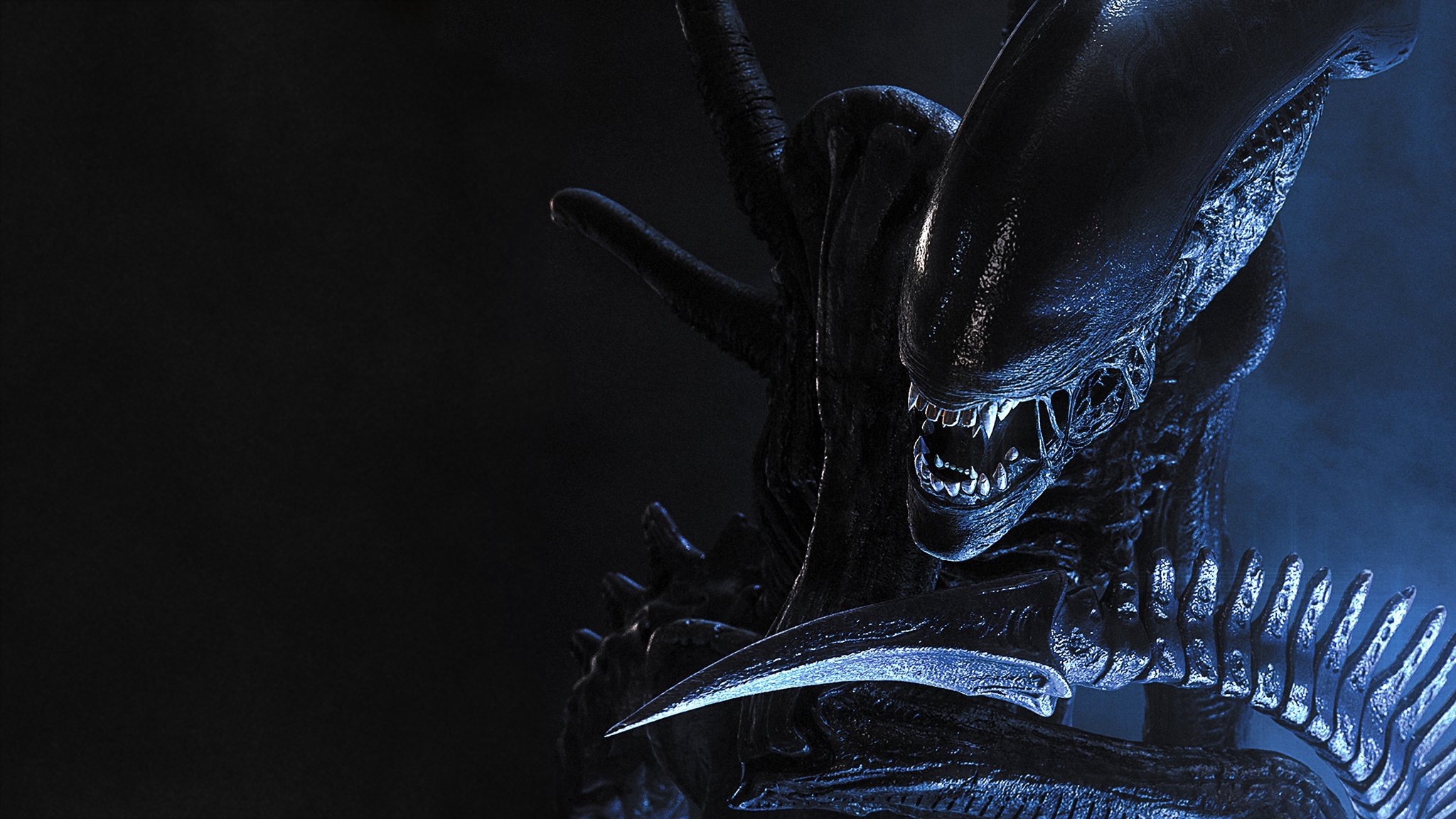 بیگانه علیه غارتگر ۱|AVP: Alien vs. Predator