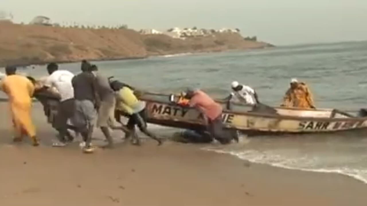 Halte au Massacre du Littoral|Halte au Massacre du Littoral