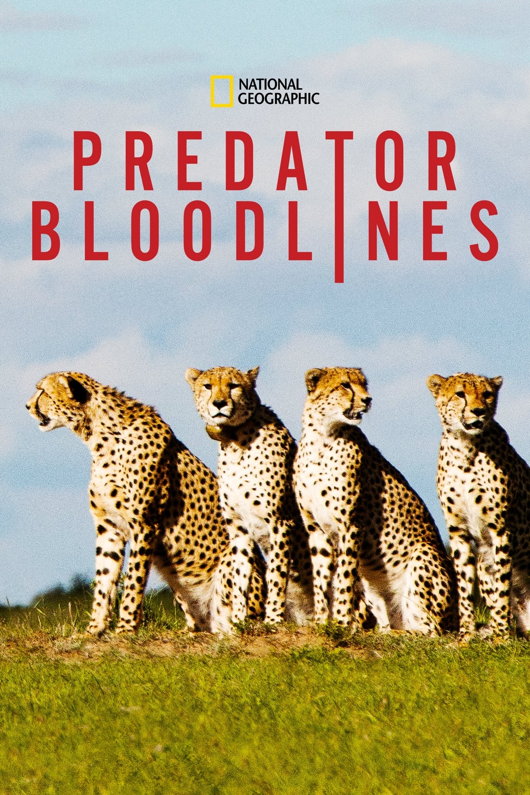 Predator Bloodlines | Predator Bloodlines