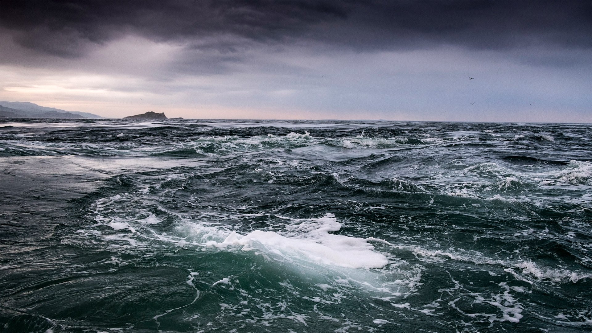 Tide|Tide