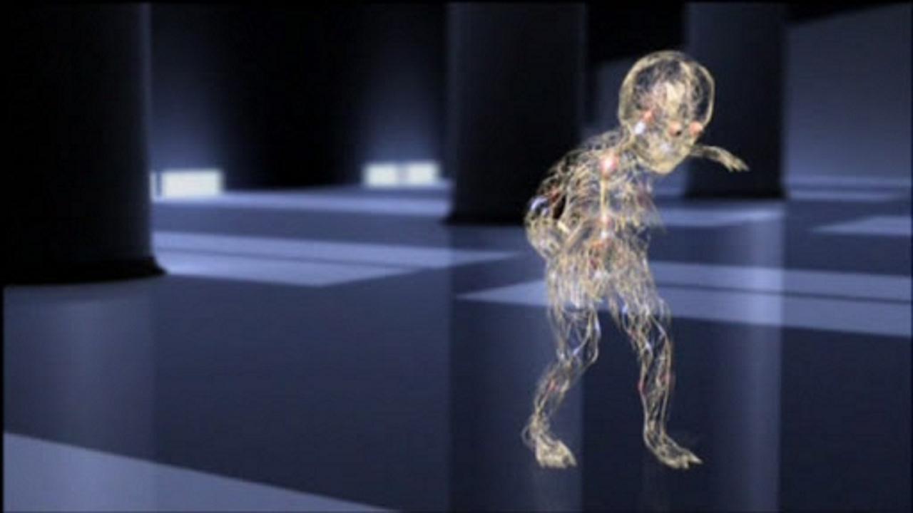 Human Senses|Human Senses