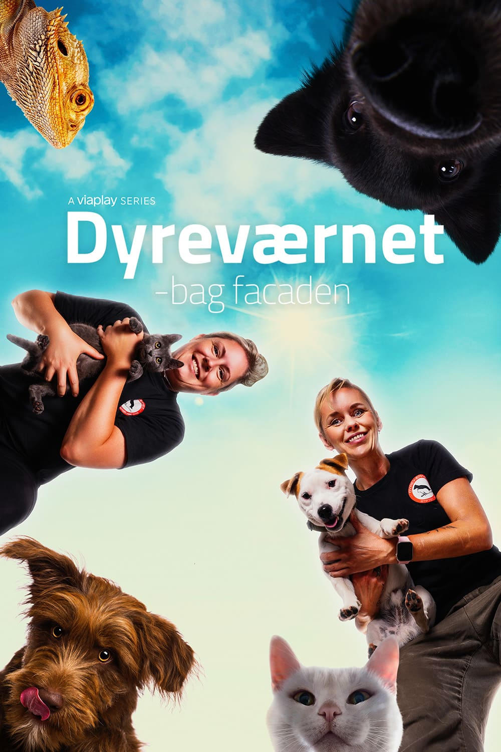 Dyreværnet - bag facaden | Dyreværnet - bag facaden