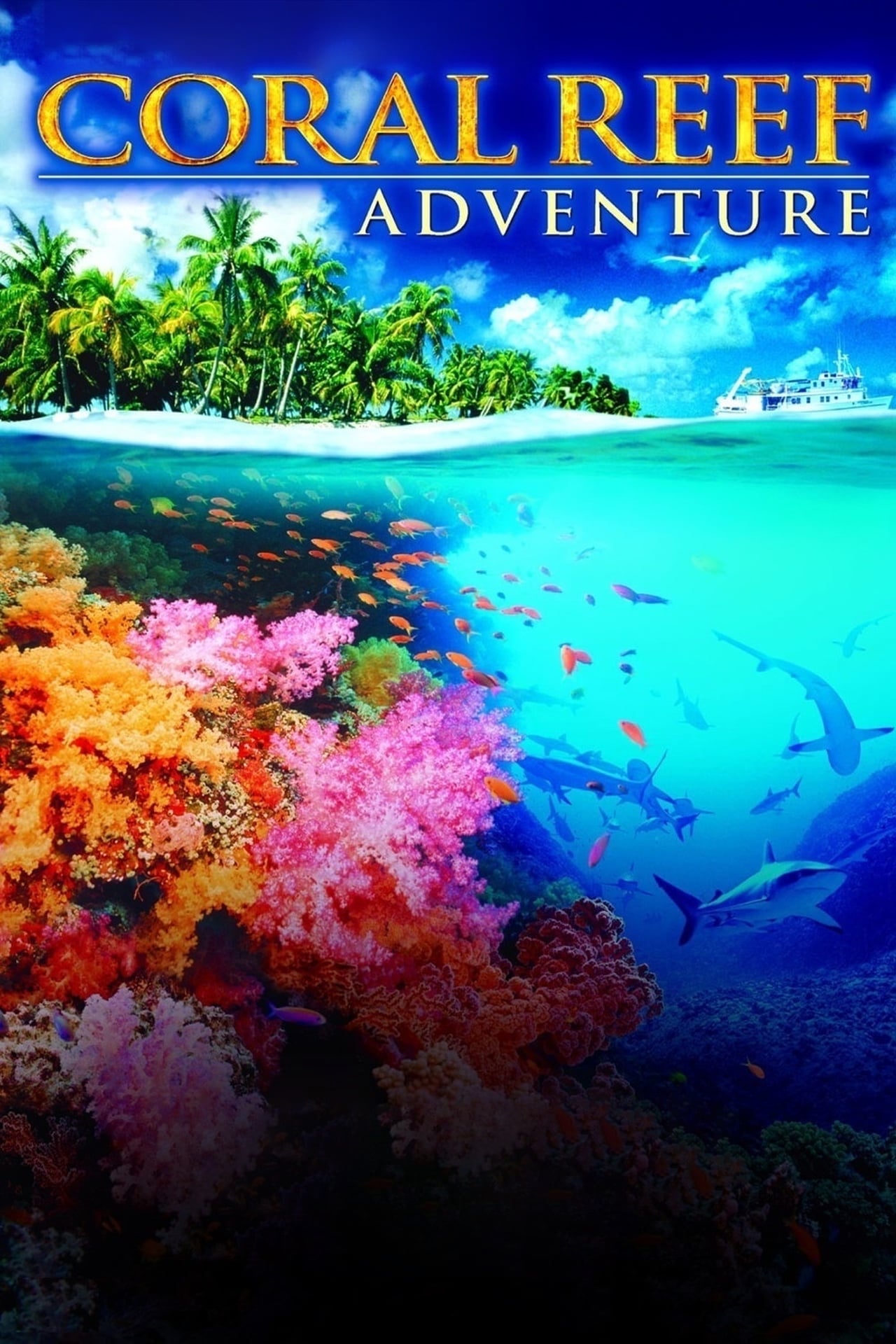 Coral Reef Adventure