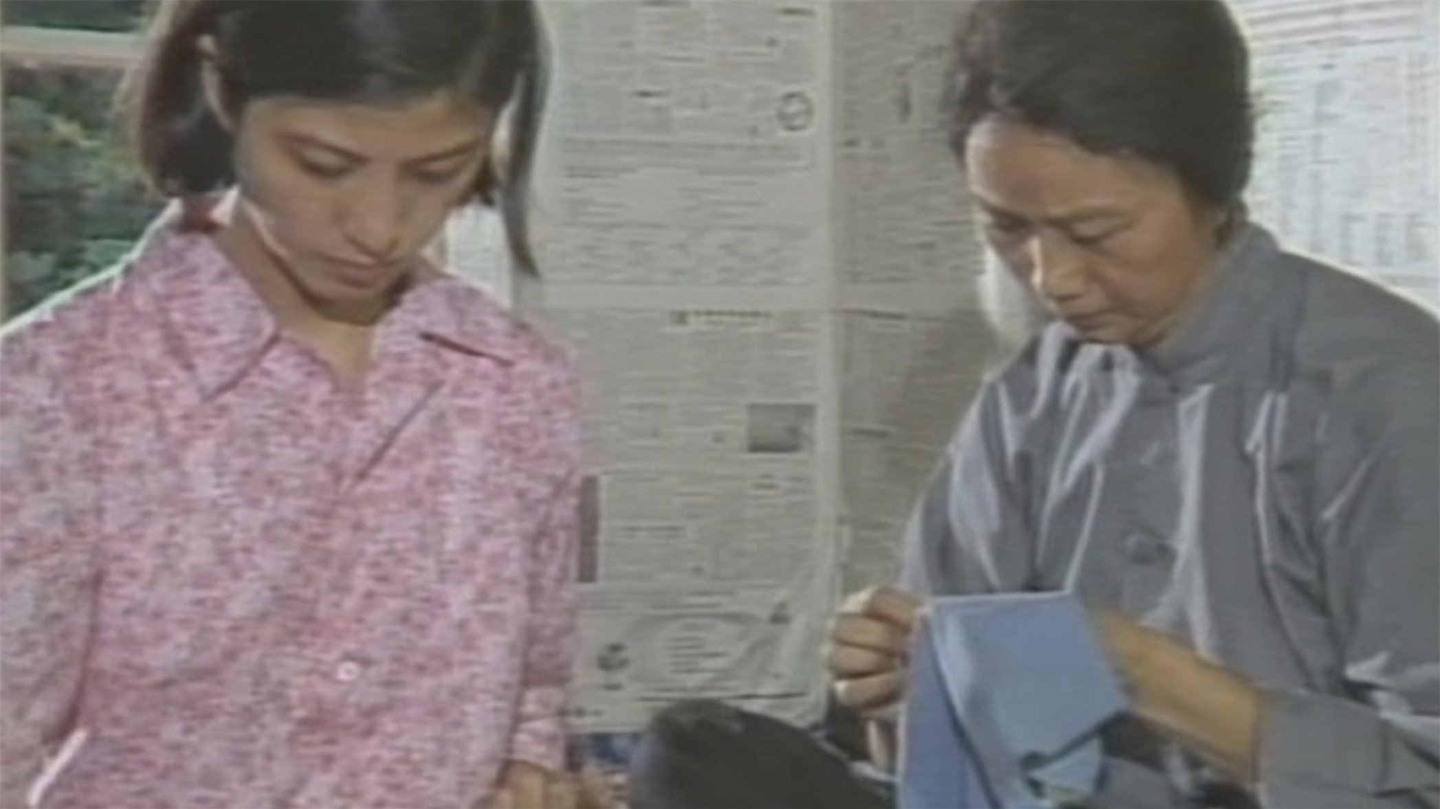 篱笆·女人和狗|篱笆·女人和狗