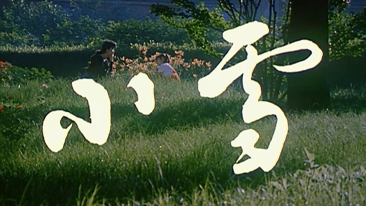 小雪|小雪