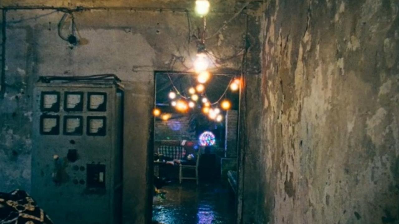 秘密金鱼|秘密金鱼