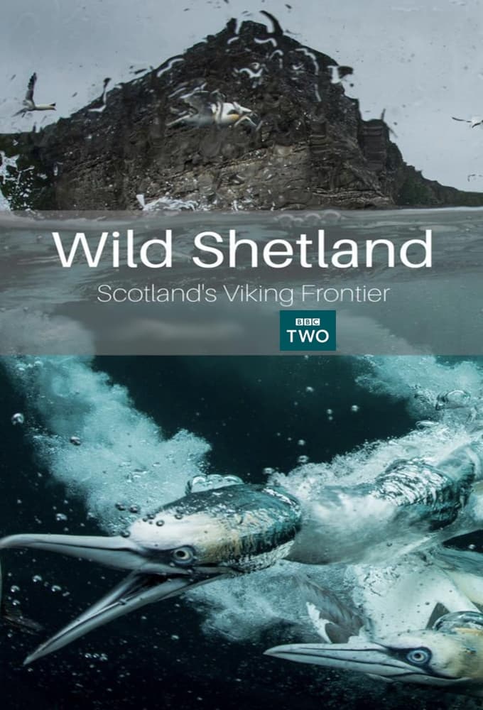 Wild Shetland: Scotland's Viking Frontier | Wild Shetland: Scotland's Viking Frontier