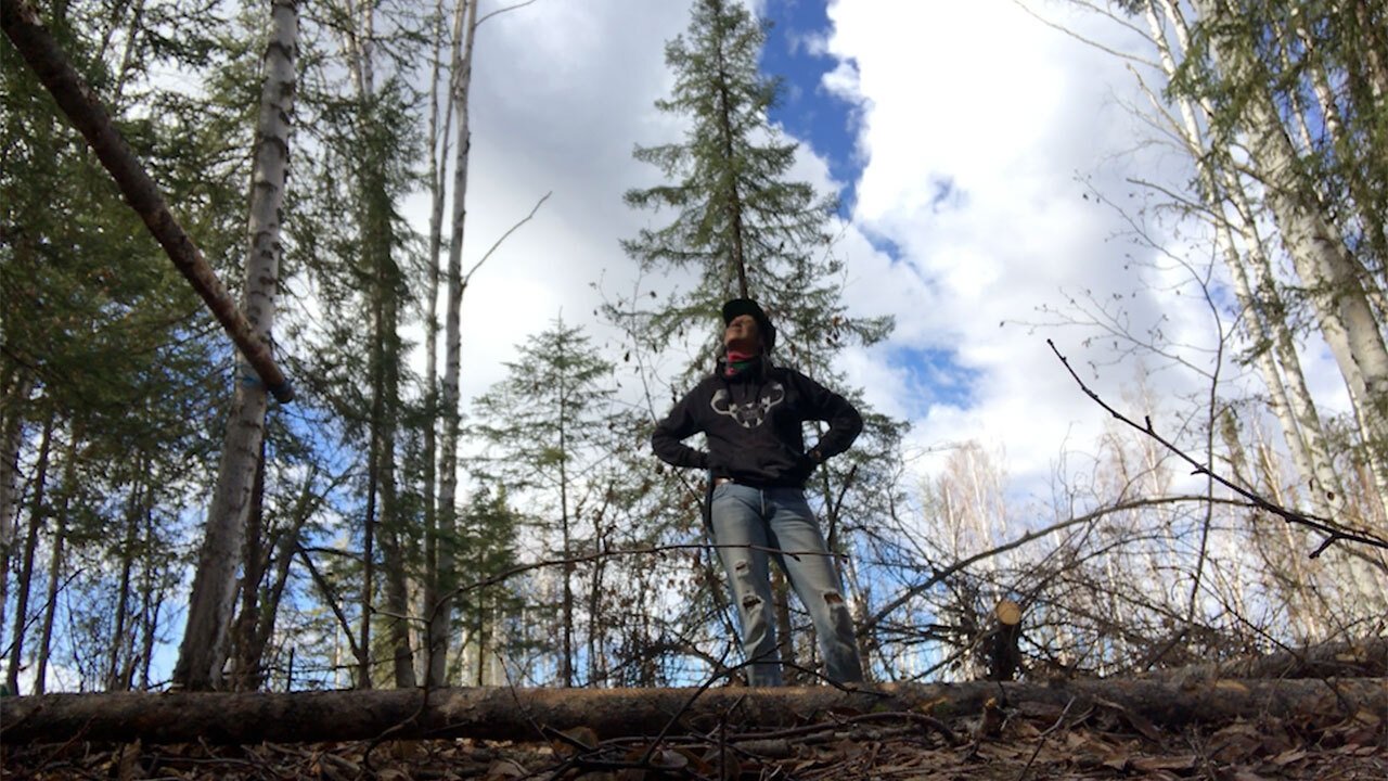 K'i Tah Amongst the Birch|K'i Tah Amongst the Birch