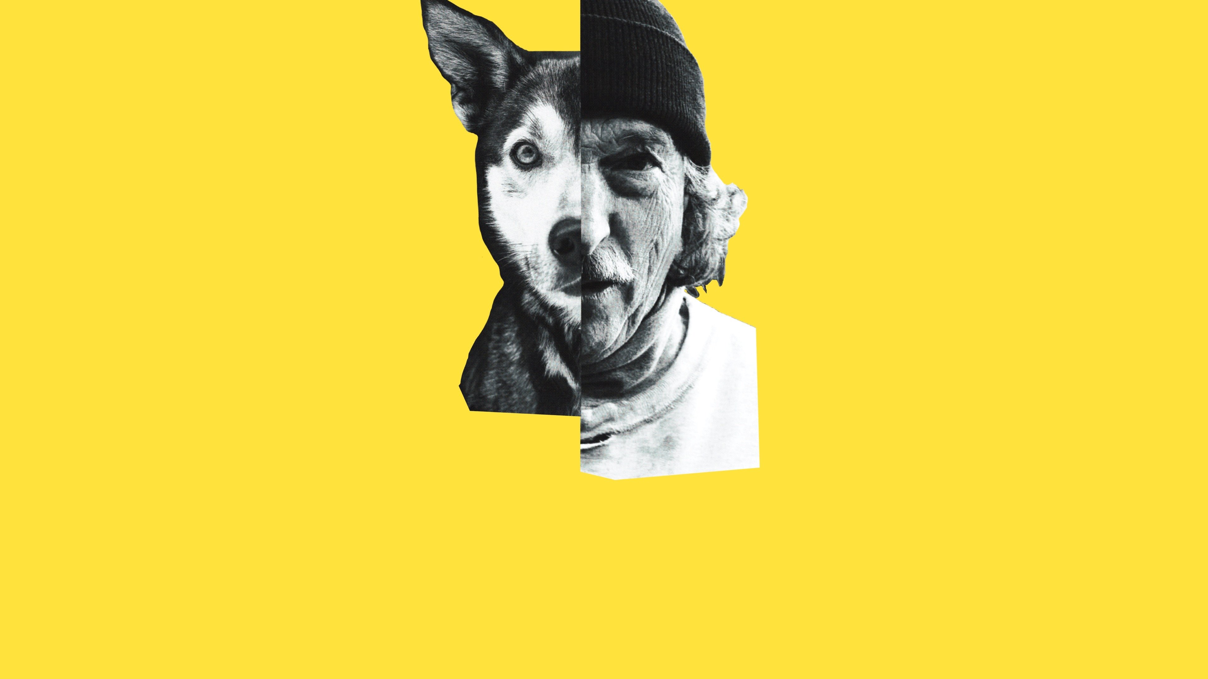 Underdog|Underdog