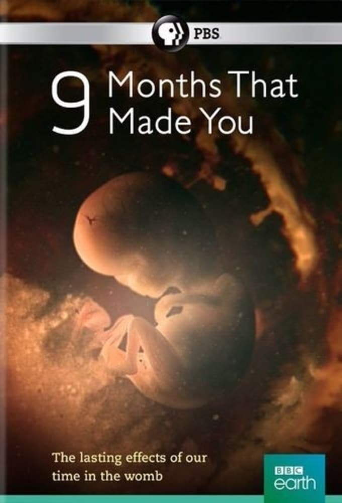 9 Months That Made You | 9 Months That Made You