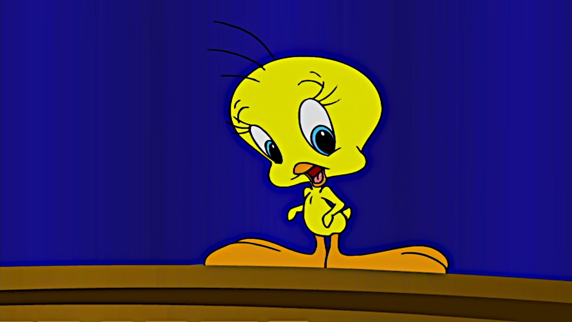 Looney Tunes: Reality Check|Looney Tunes: Reality Check
