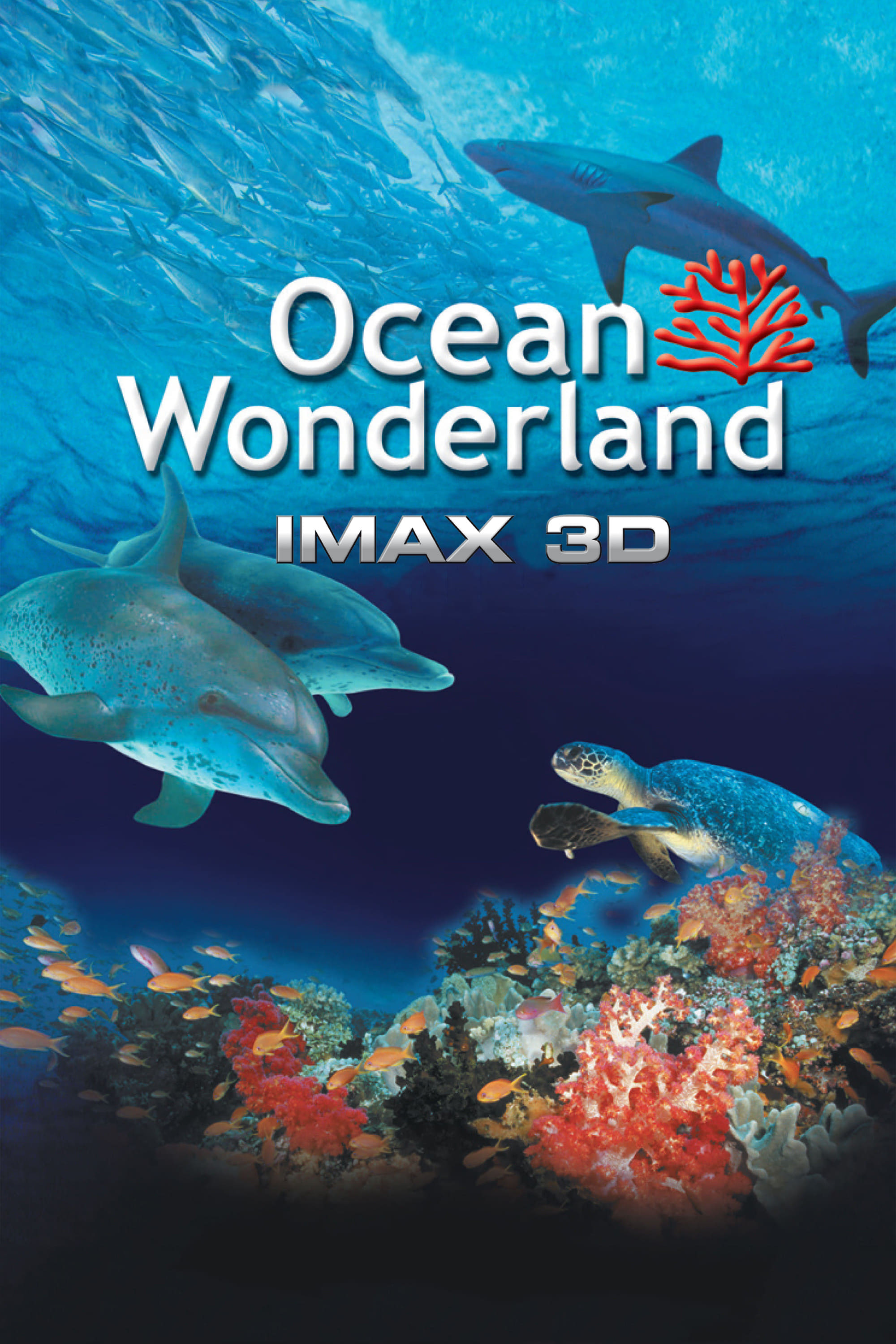 Ocean Wonderland 3D | Ocean Wonderland 3D