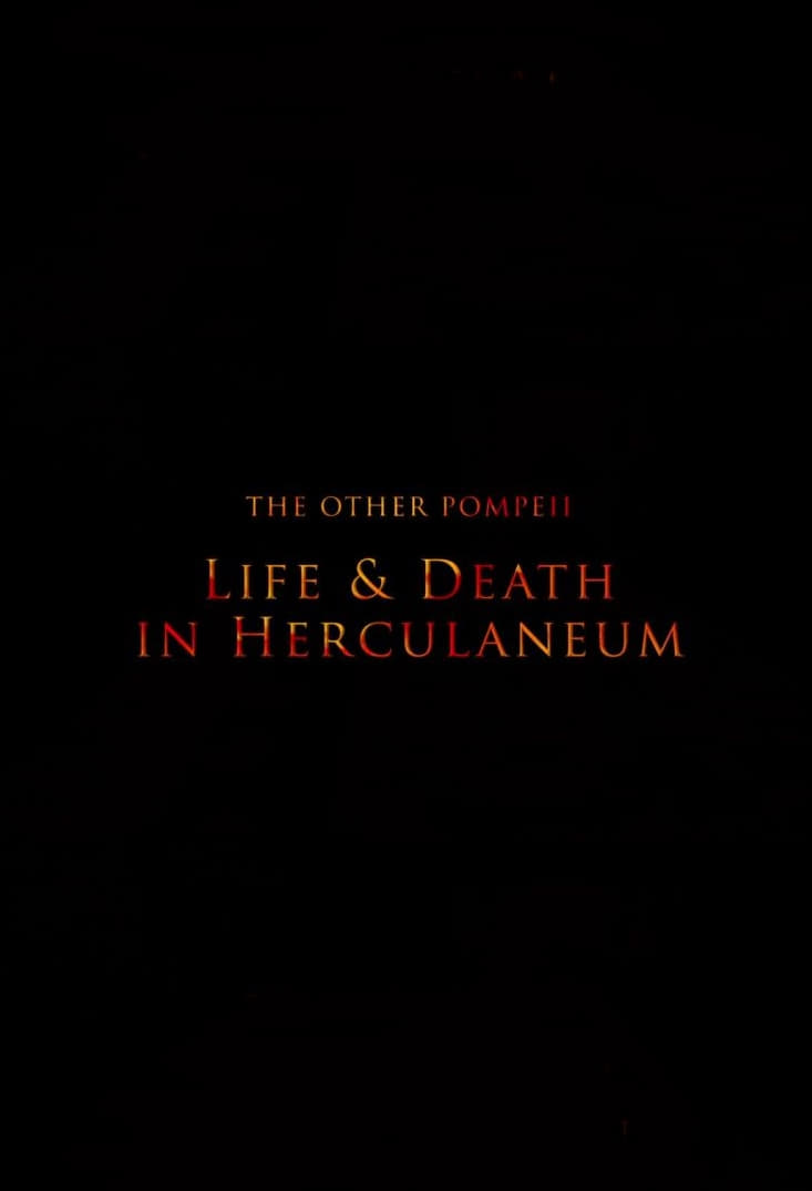 The Other Pompeii: Life & Death in Herculaneum | The Other Pompeii: Life & Death in Herculaneum