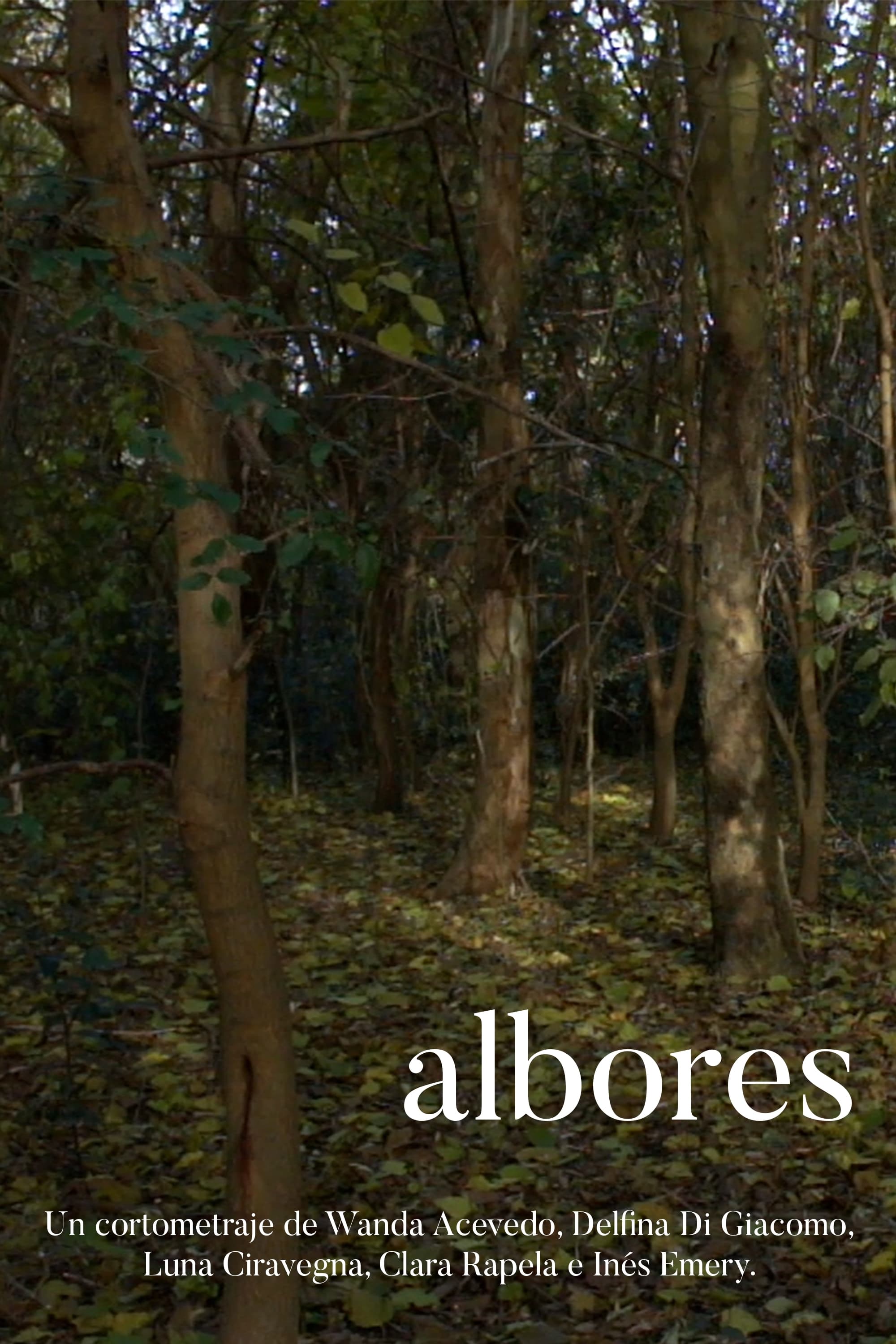 albores | albores