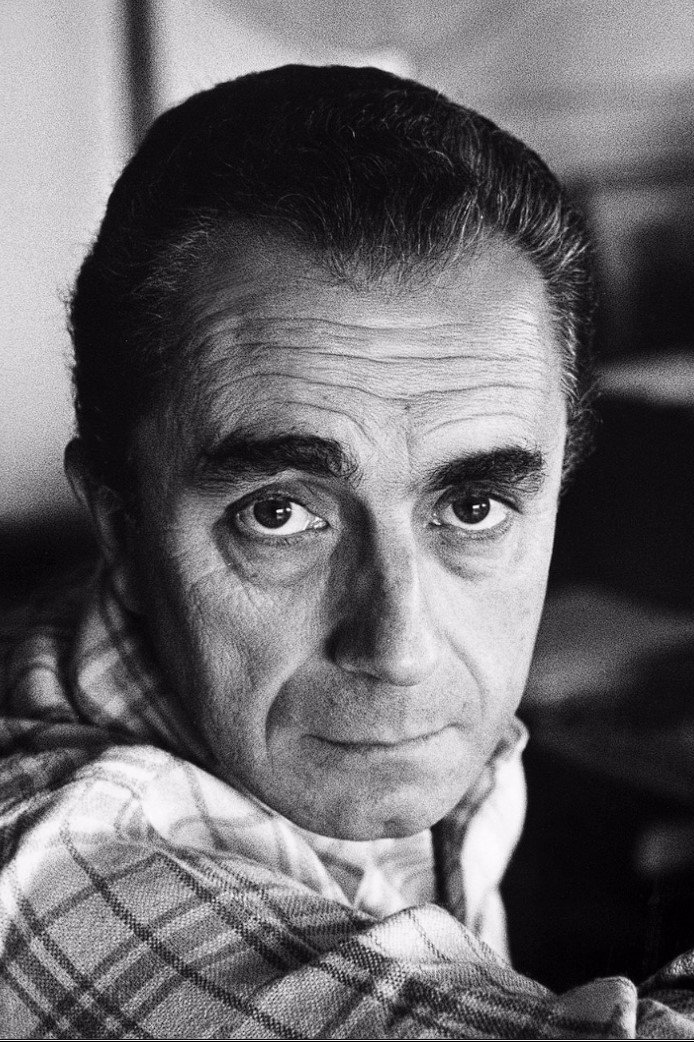 بازیگر Michelangelo Antonioni  