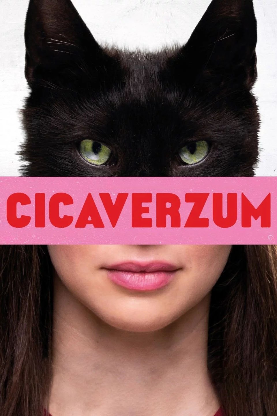 Cicaverzum | Cicaverzum