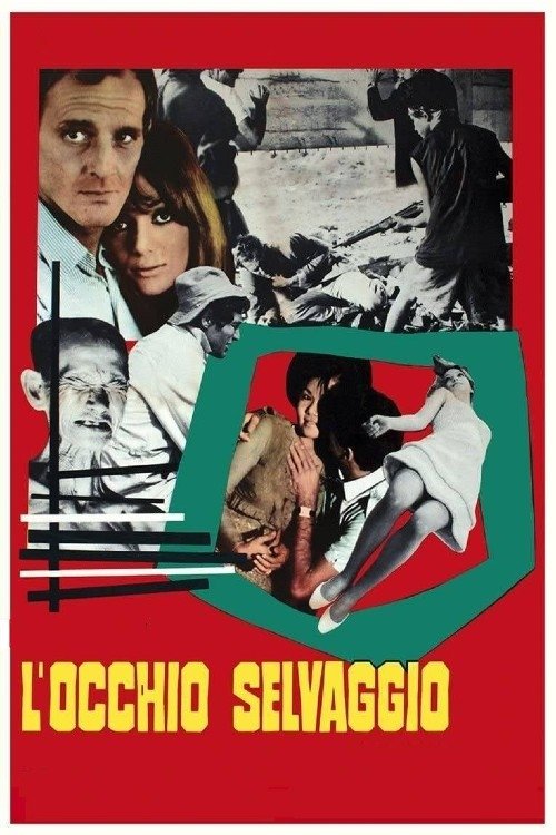 L'occhio selvaggio | L'occhio selvaggio