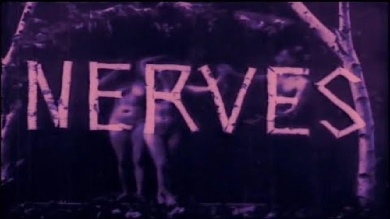 Nerven|Nerven