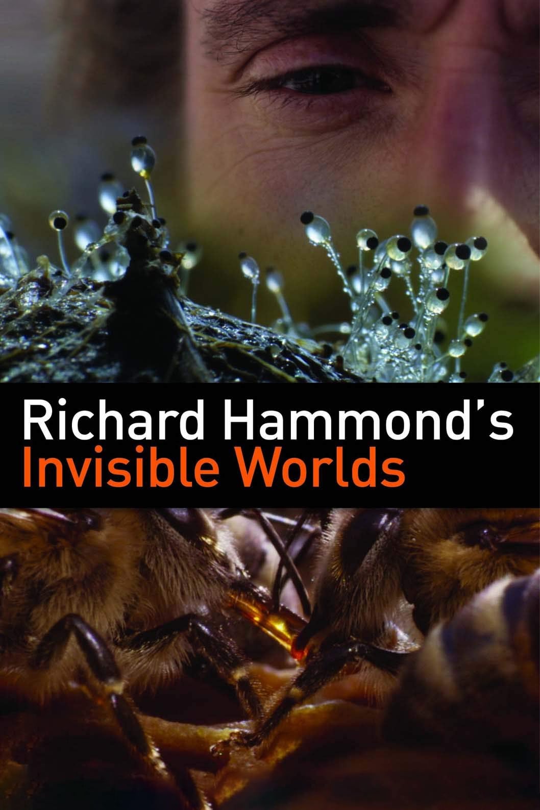 Richard Hammond's Invisible Worlds | Richard Hammond's Invisible Worlds