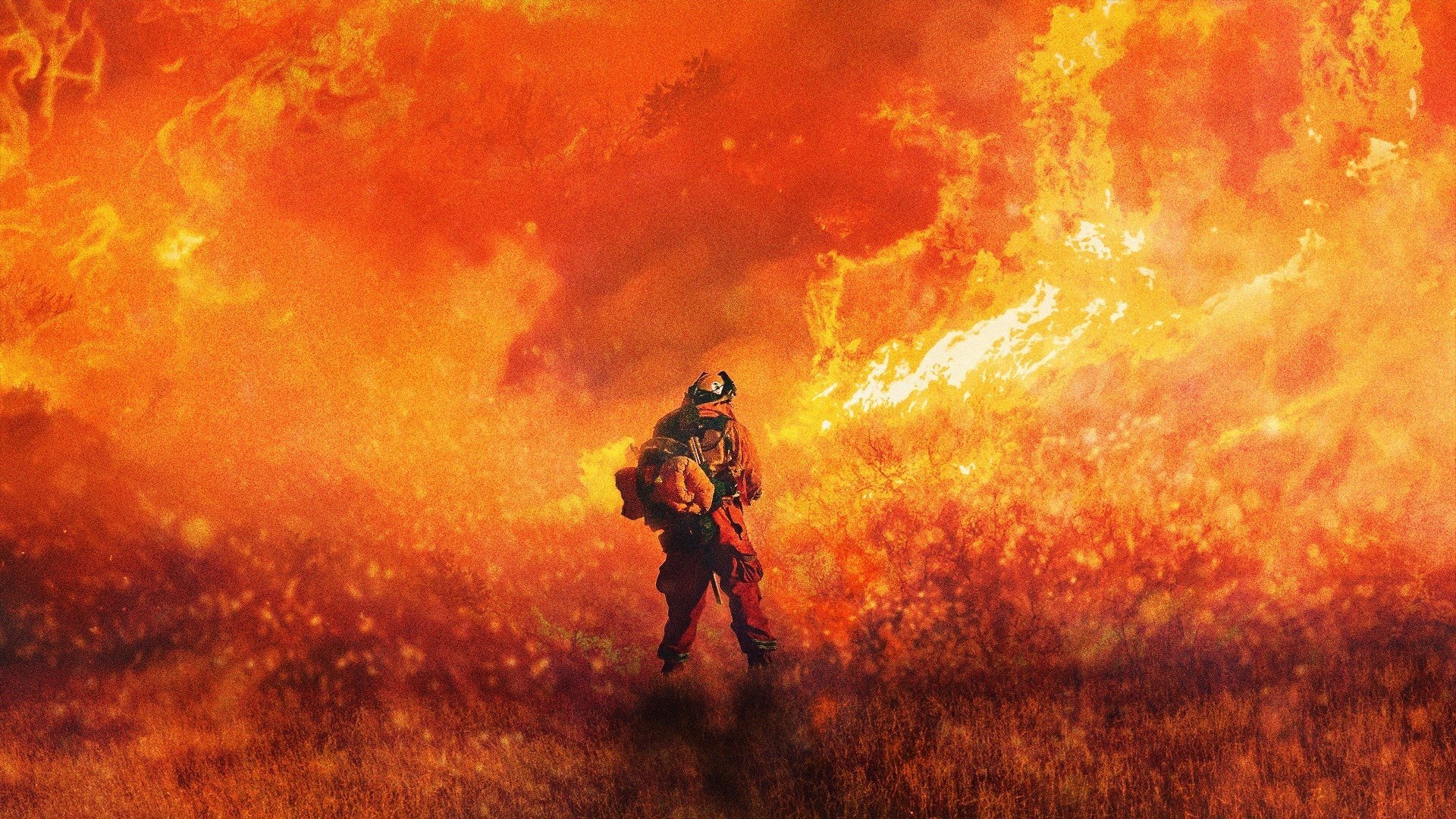 Cal Fire|Cal Fire