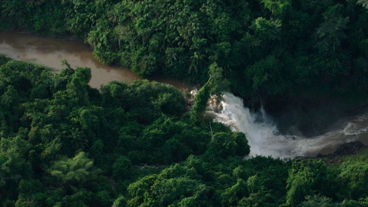 Le dernier poumon du monde|Le dernier poumon du monde