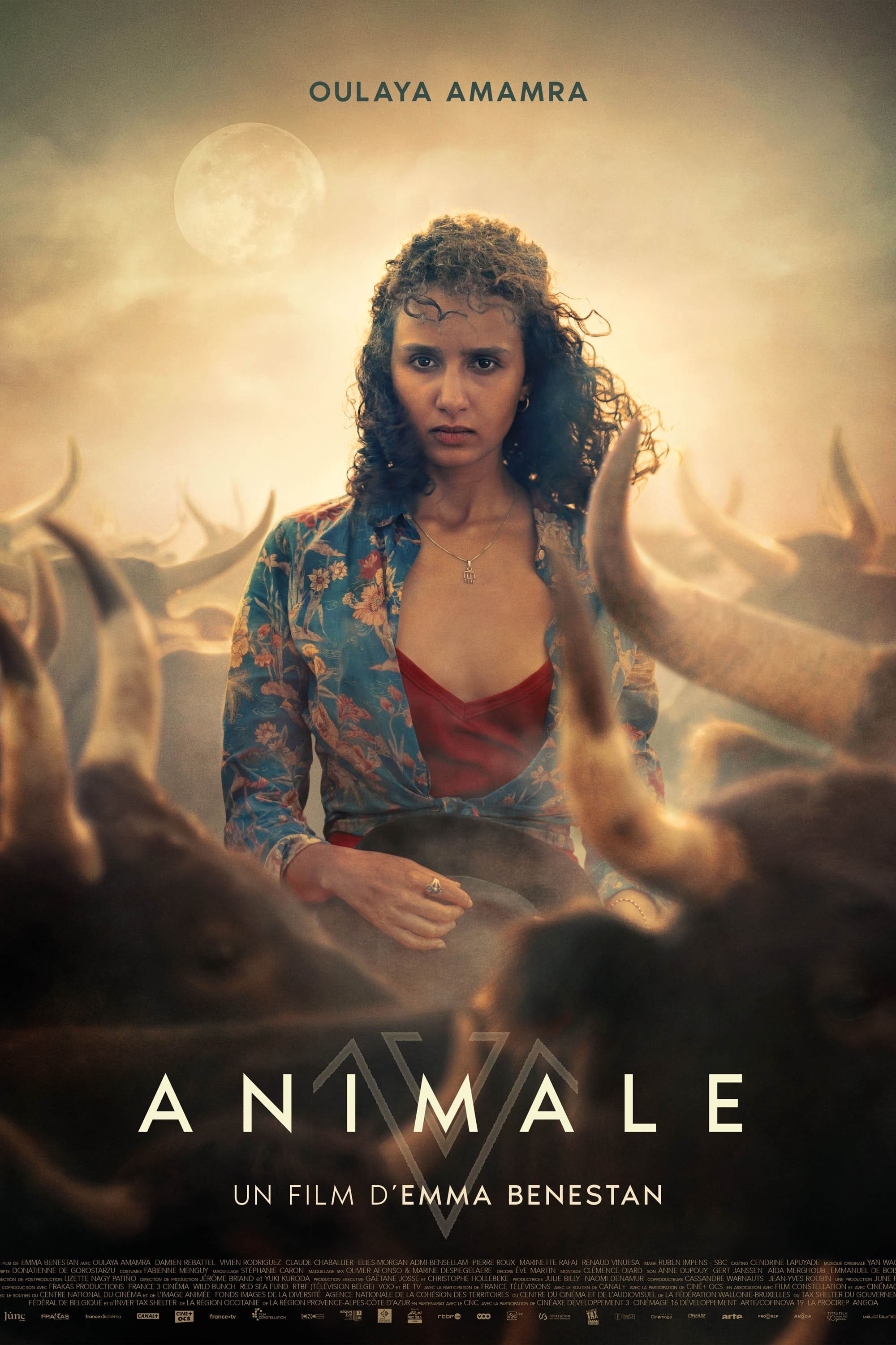 Animale | Animale