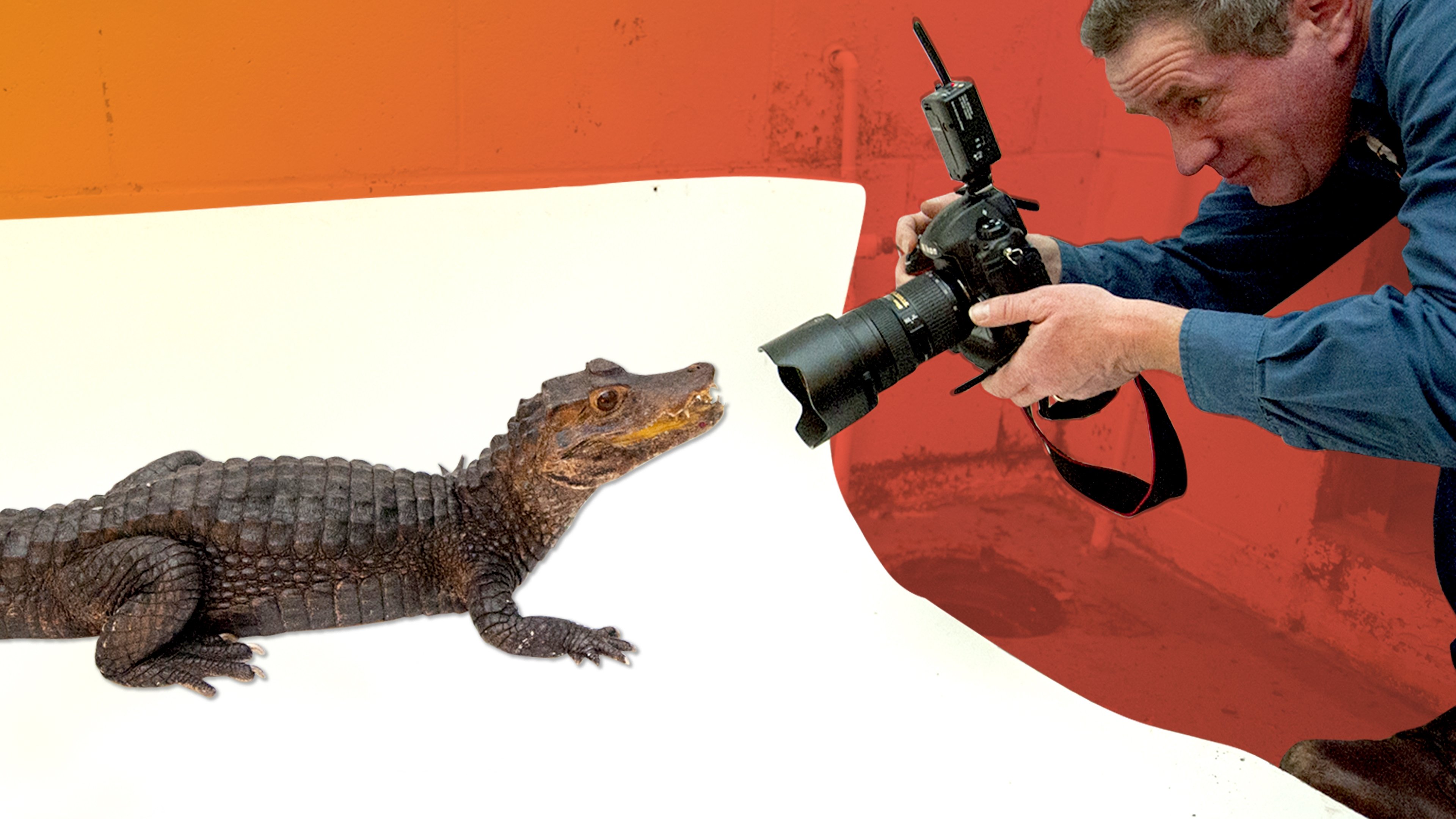 Best Job Ever|Best Job Ever
