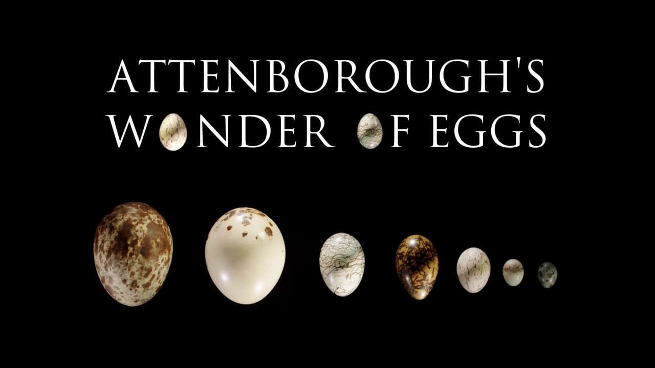 Attenborough's Wonder of Eggs|Attenborough's Wonder of Eggs