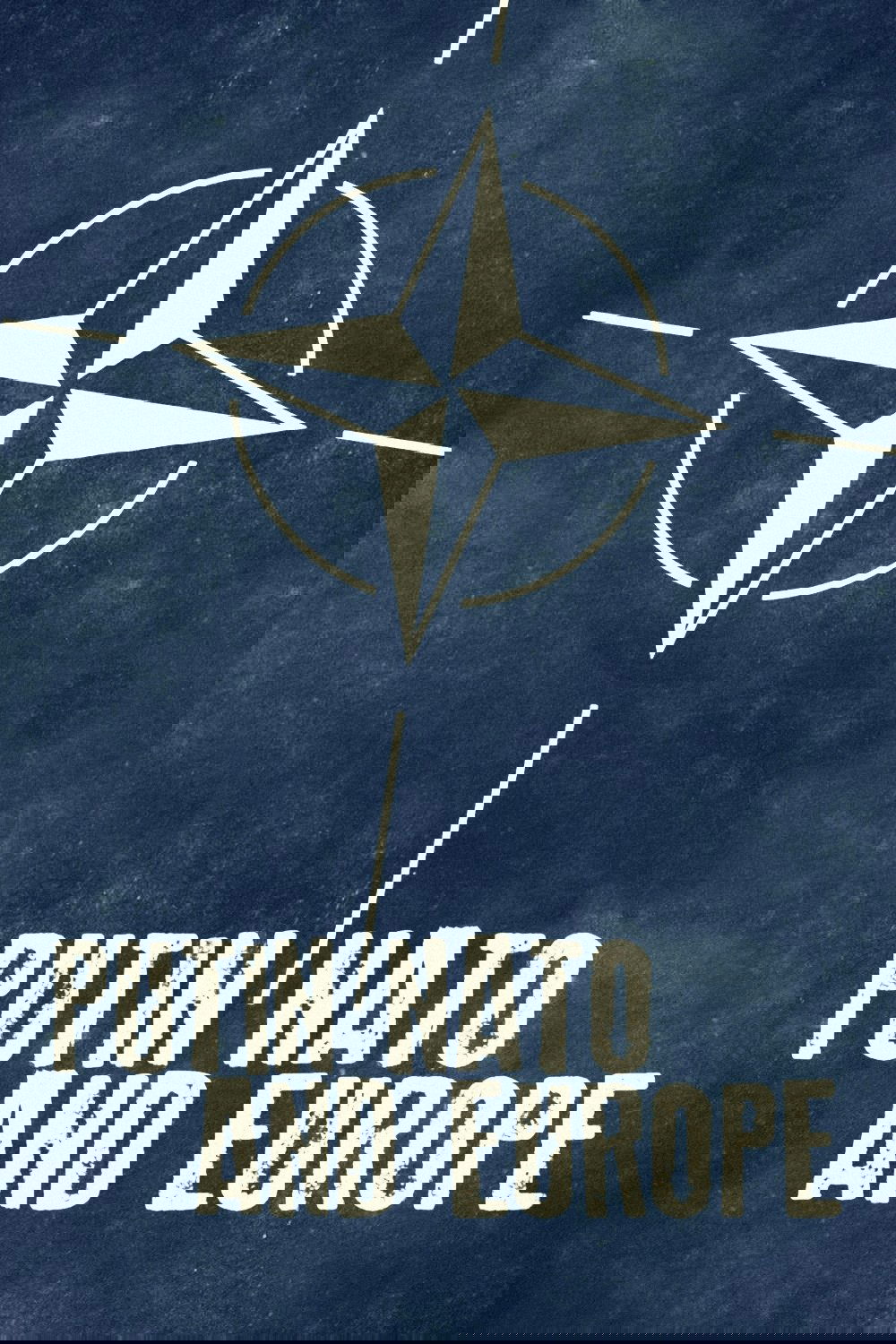 Nato – Alte Freunde, neue Fronten