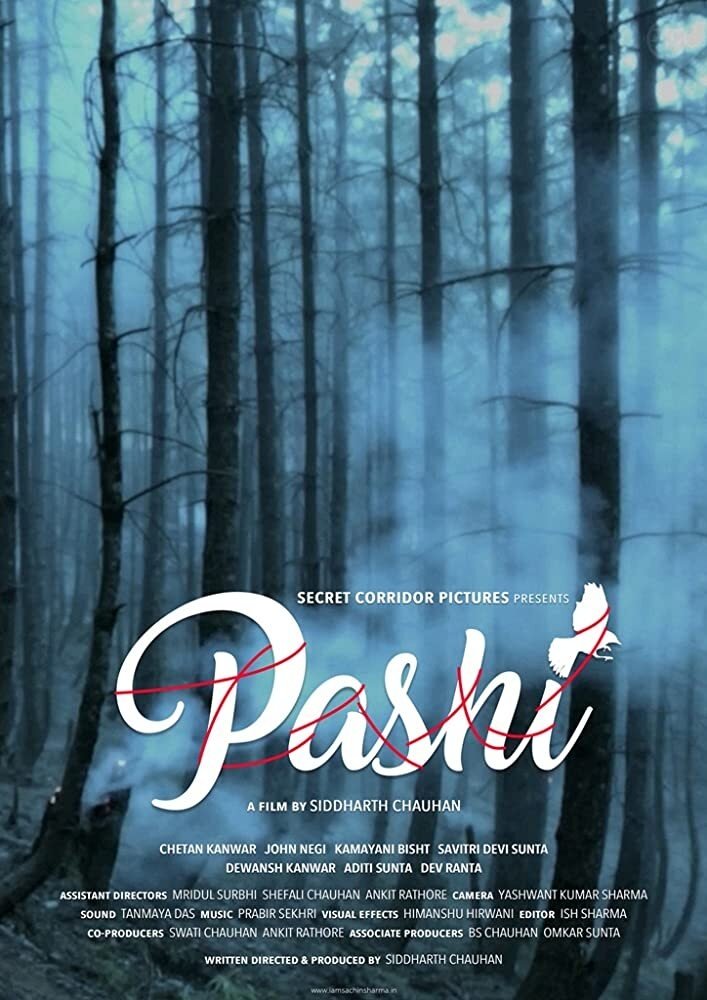 Pashi | Pashi