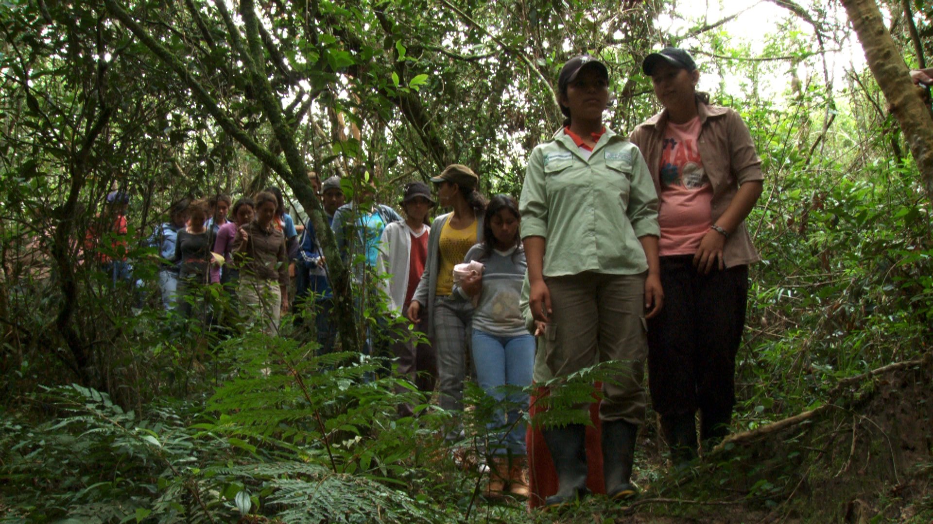 Daughters of the Forest|Daughters of the Forest