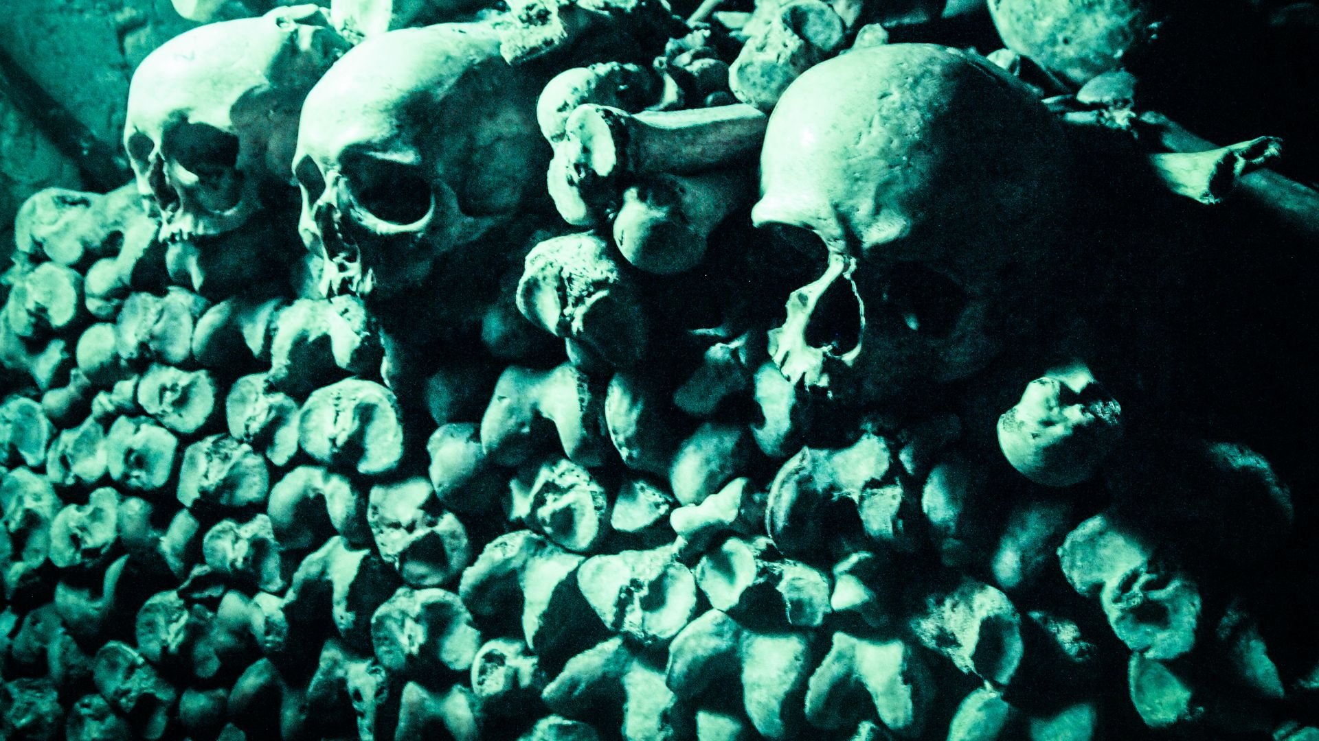 The Black Death|The Black Death