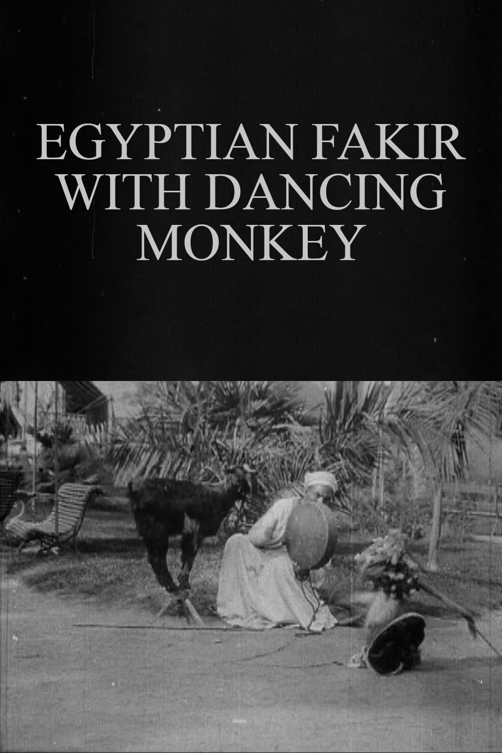 Egyptian Fakir with Dancing Monkey | Egyptian Fakir with Dancing Monkey