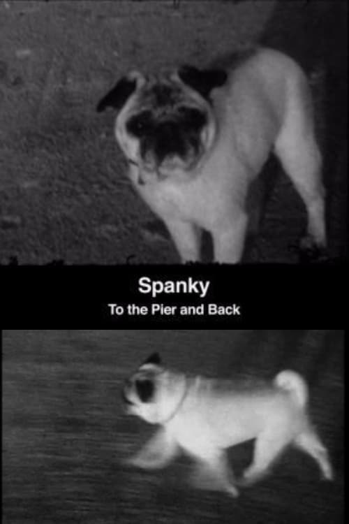 Spanky: To the Pier and Back | Spanky: To the Pier and Back