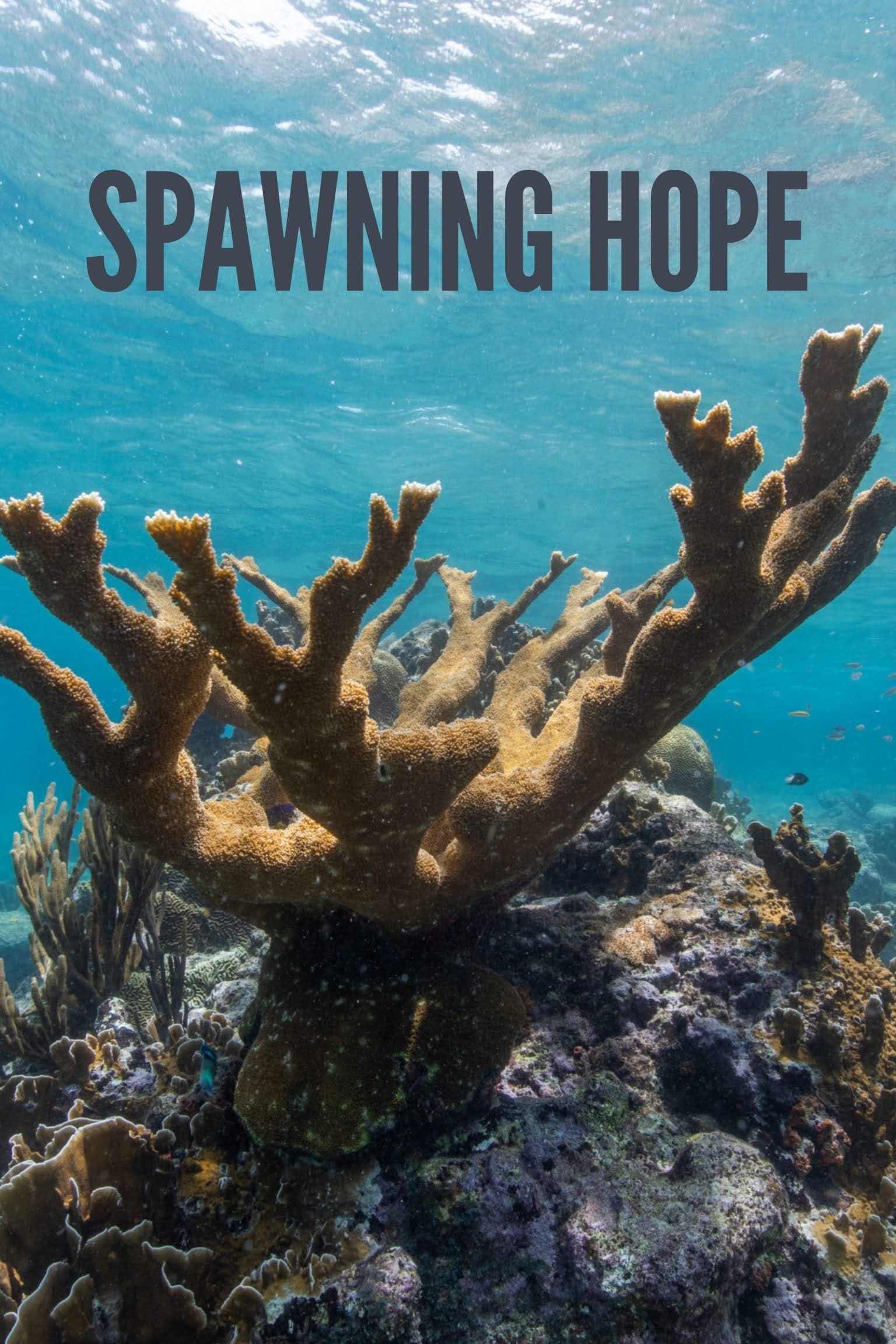 Spawning Hope