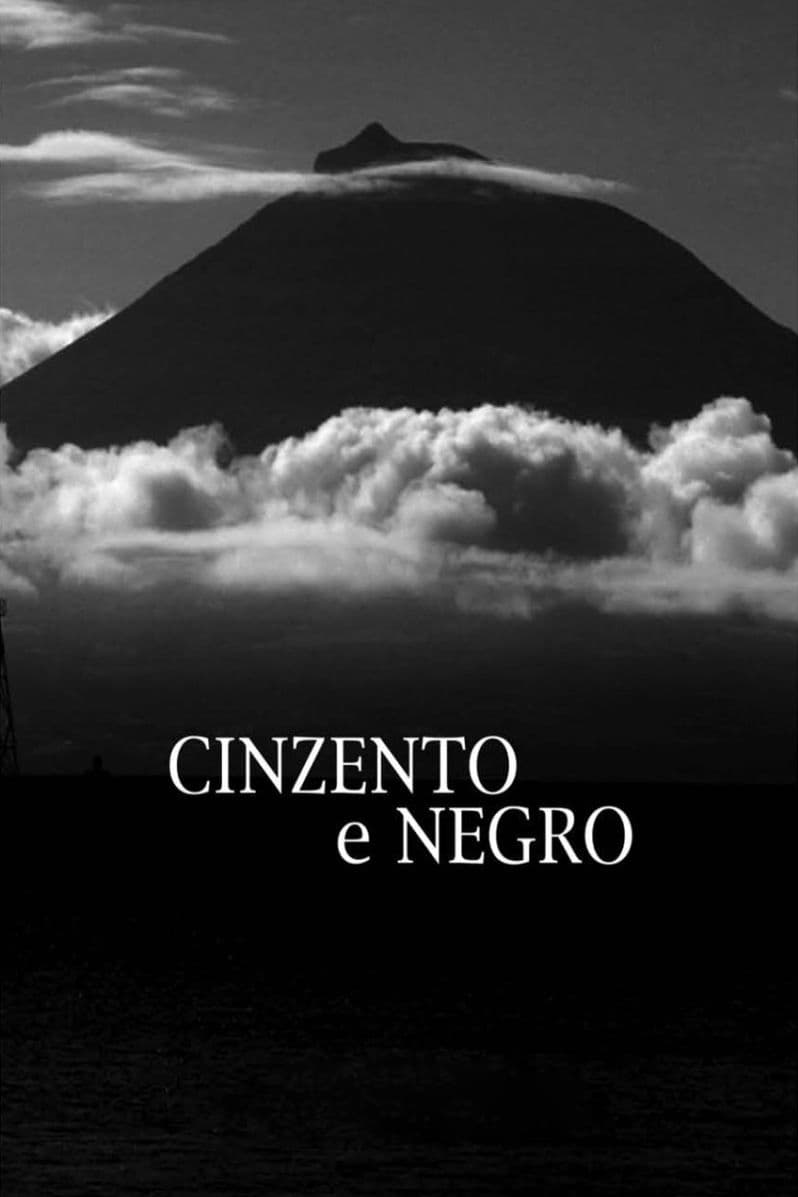 Cinzento e Negro | Cinzento e Negro