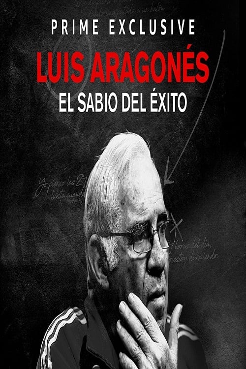 Luis Aragonés, el sabio del éxito | Luis Aragonés, el sabio del éxito