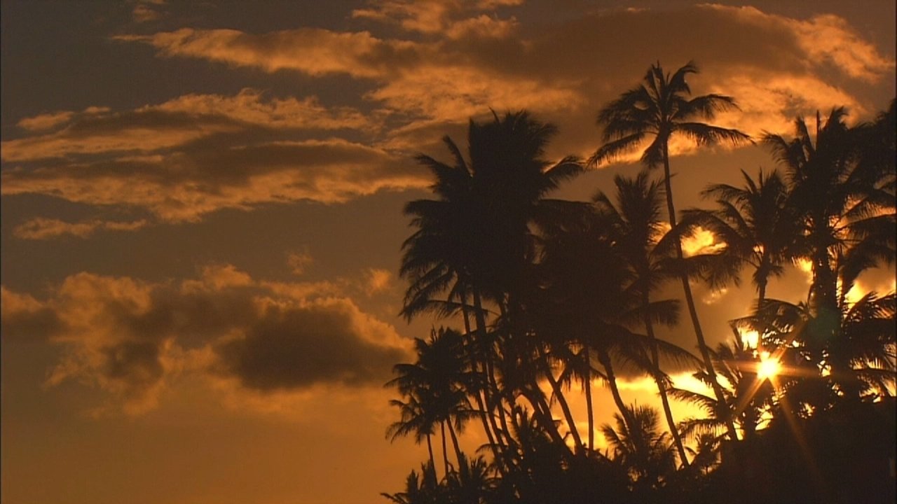 Living Landscapes: World's Most Beautiful Sunrises and Sunsets|Living Landscapes: World's Most Beautiful Sunrises and Sunsets