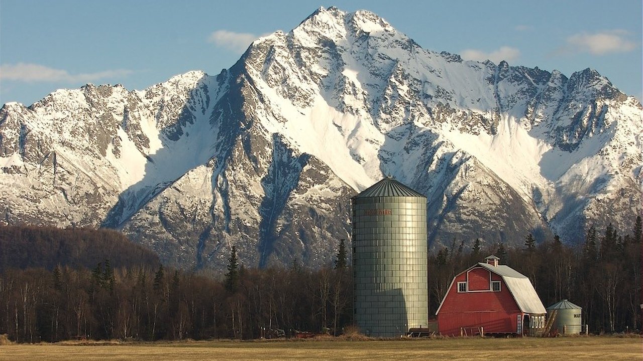 Alaska Far Away|Alaska Far Away