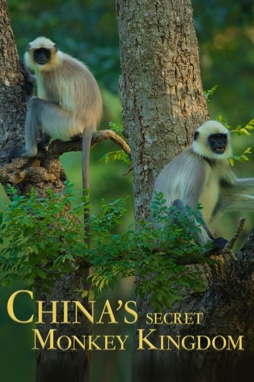 China's Secret Monkey Kingdom | China's Secret Monkey Kingdom