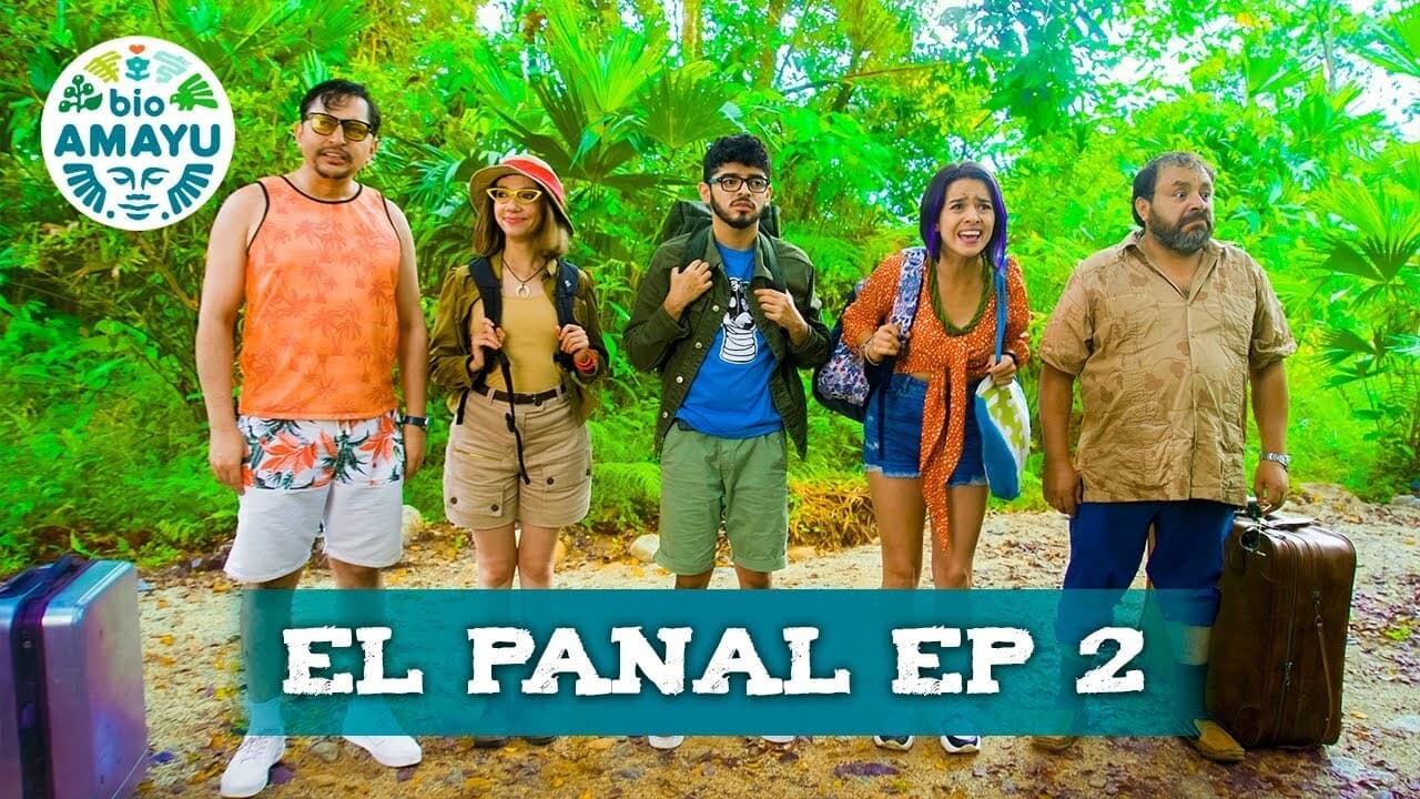 El Panal | BIO AMAYU|El Panal | BIO AMAYU