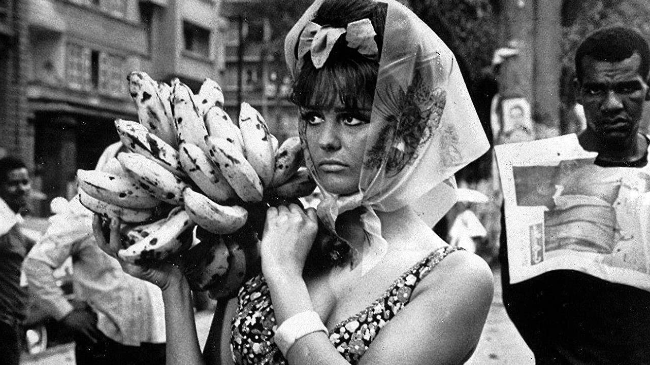 Una rosa per tutti|Una rosa per tutti