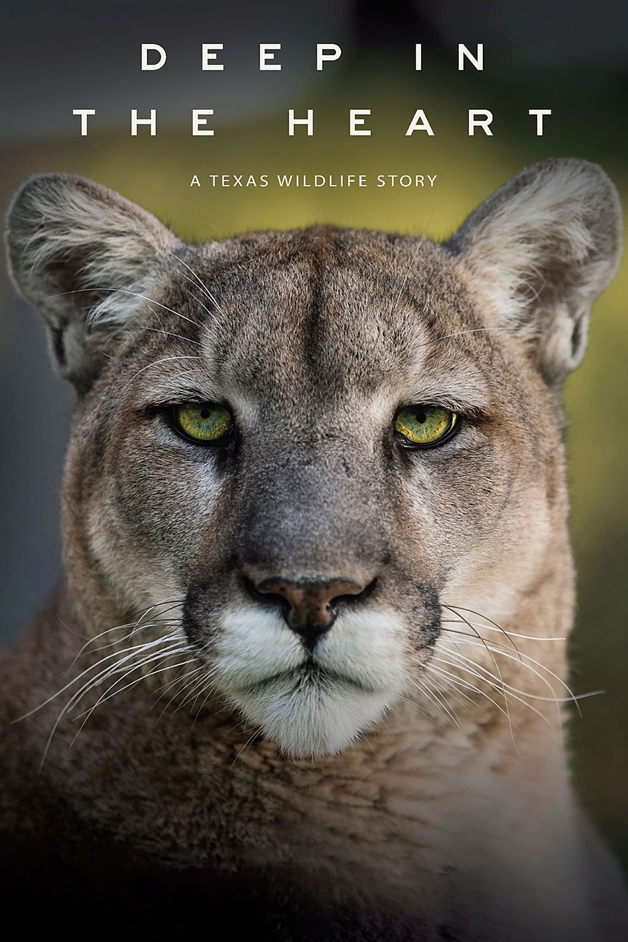 Deep in the Heart: A Texas Wildlife Story | Deep in the Heart: A Texas Wildlife Story