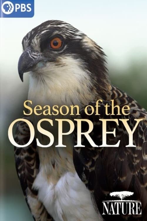 Season of the Osprey | Season of the Osprey