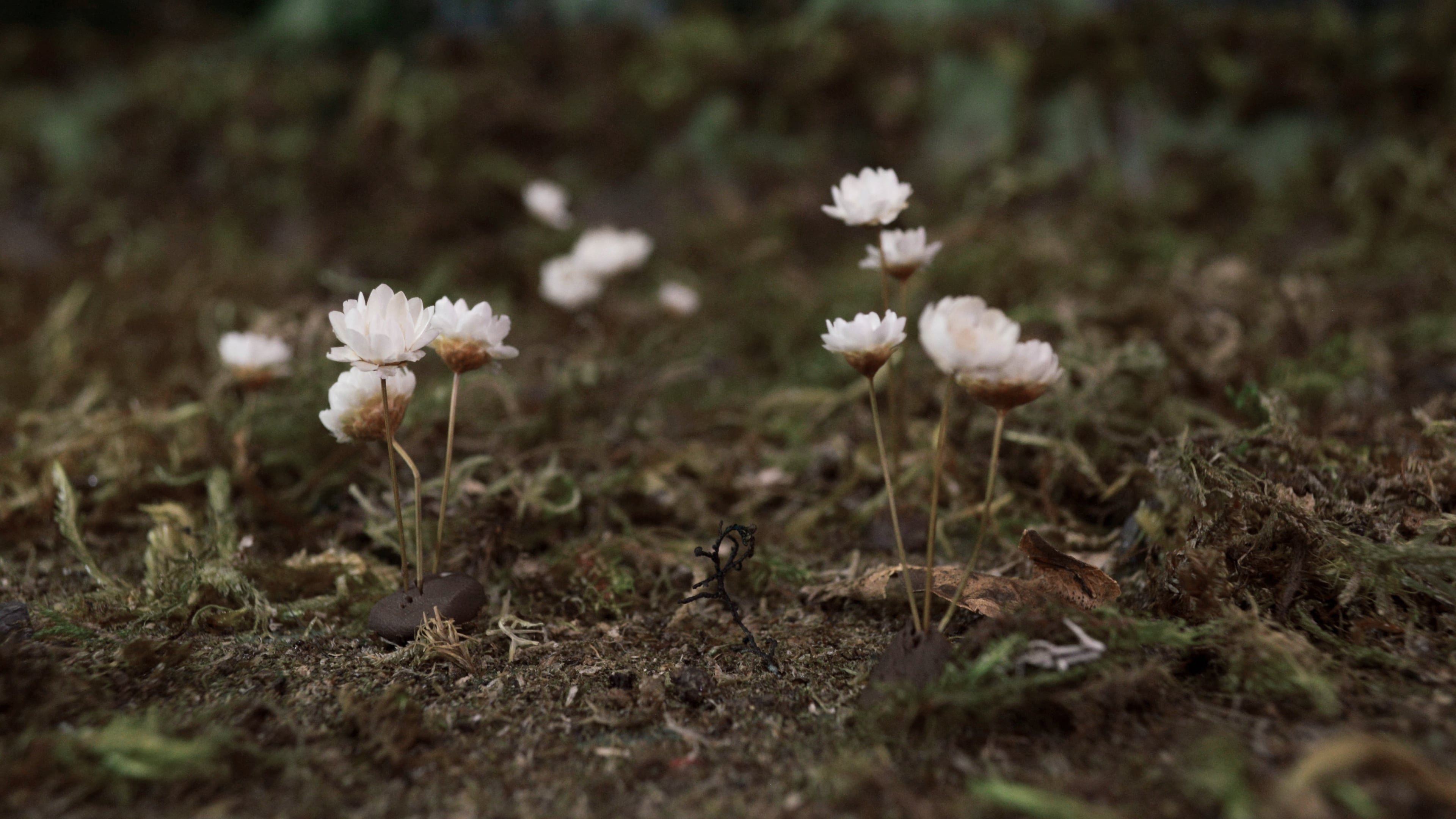 تصویر 0