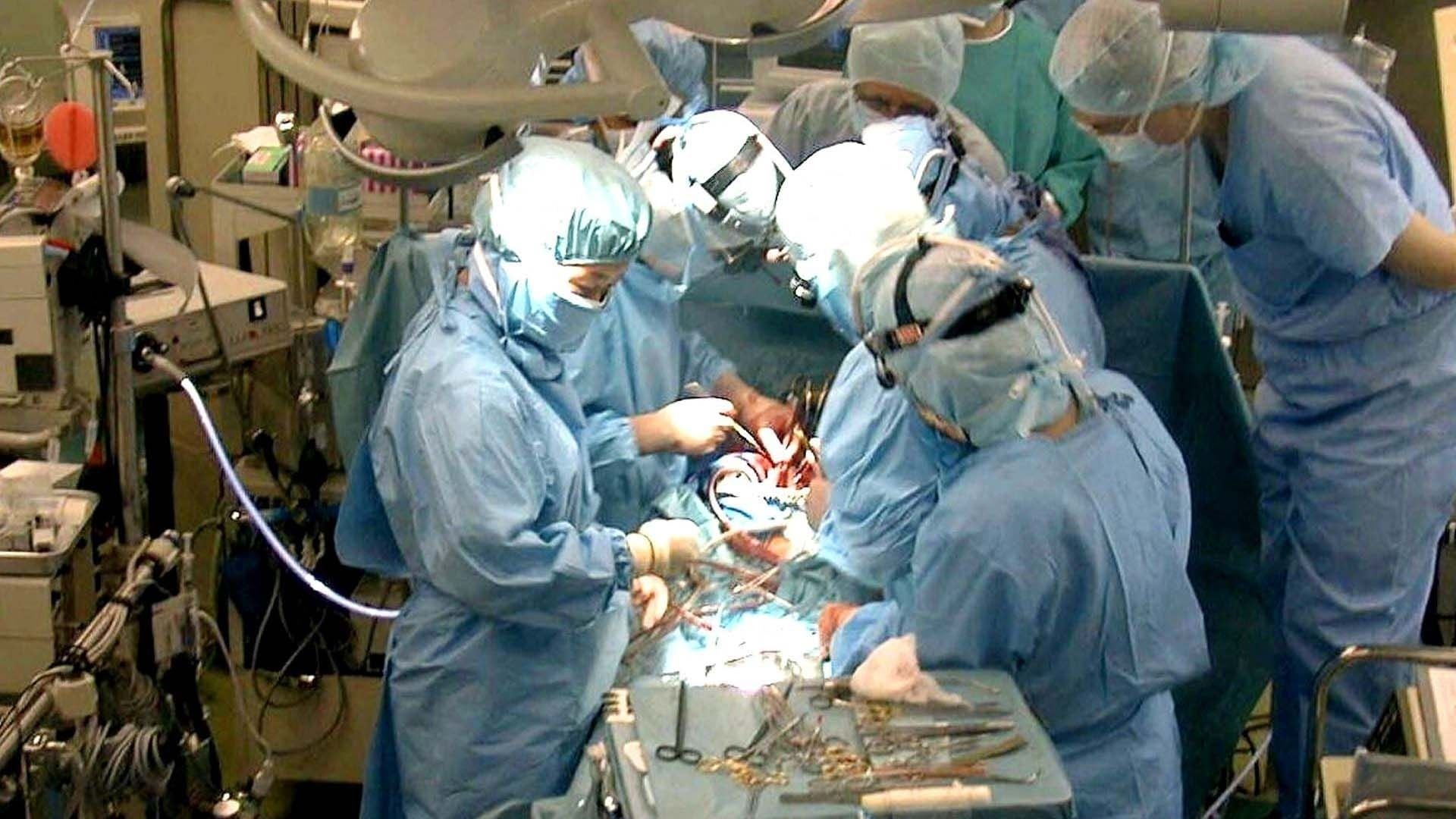 Der Streit um den Hirntod – Organspende auf dem Prüfstand|Der Streit um den Hirntod – Organspende auf dem Prüfstand