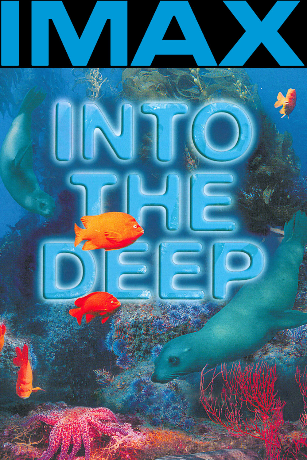 Into the Deep | Into the Deep