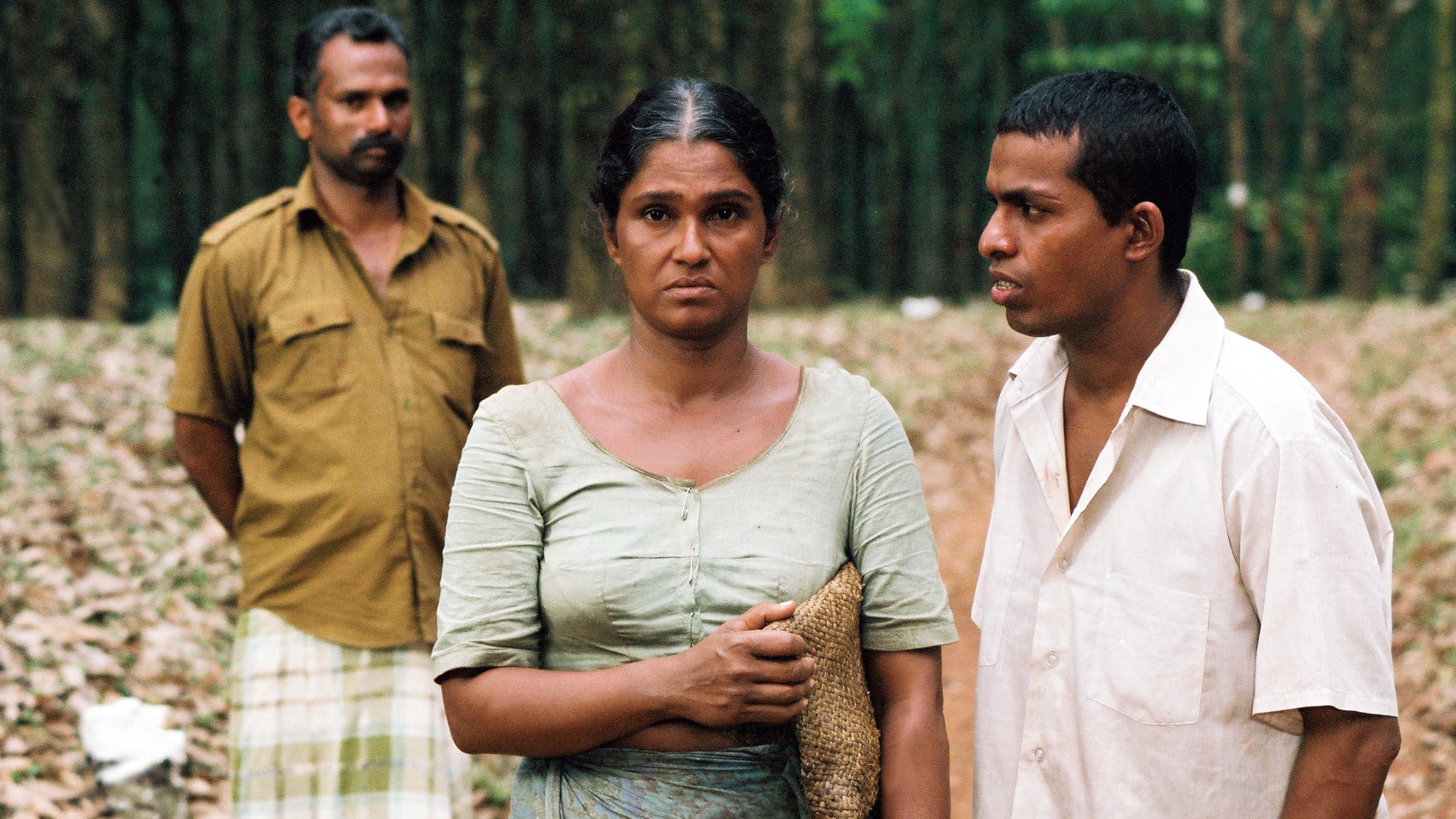 සැමීගේ කතාව|සැමීගේ කතාව