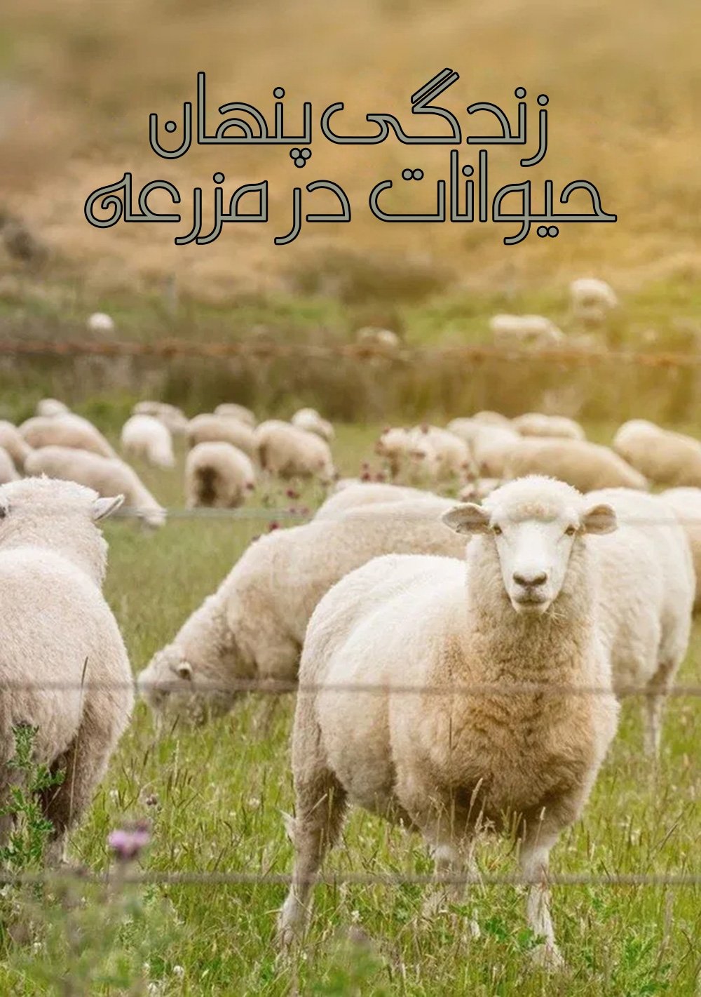 Secret Life of Farm Animals